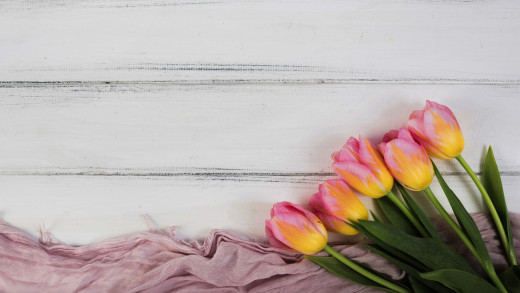 1477644 (a): :2560x1440